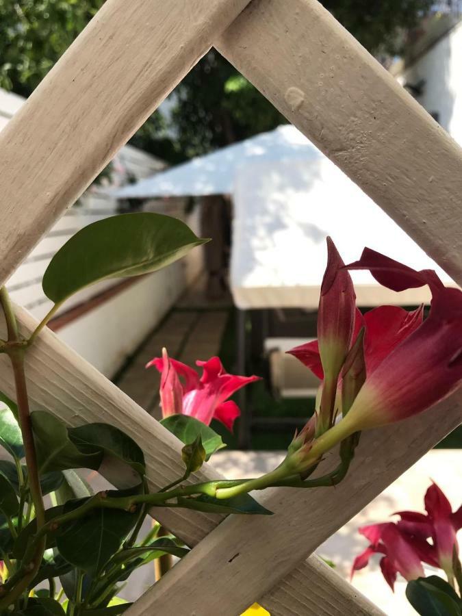 Virgilio'S Garden Panzió Castellammare di Stabia Kültér fotó